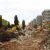 demolare fabrica  Tesatoriile Reunite Bucuresti